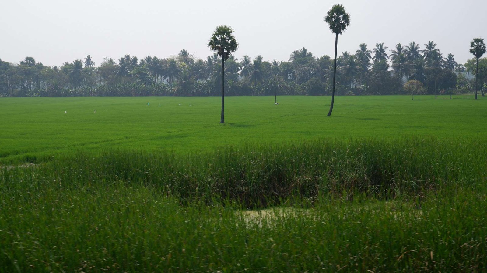 south india